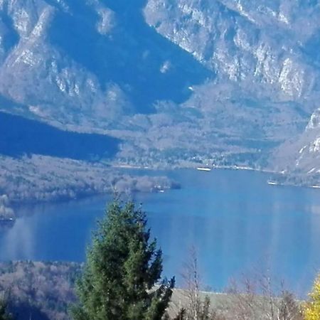 Koprivnik v BohinjuApartmaji Korosec Na Koprivnikuアパートメント エクステリア 写真