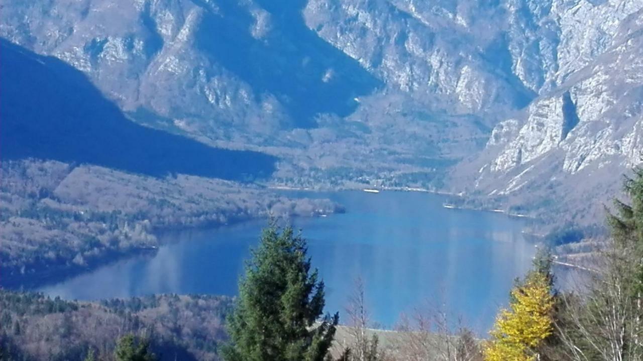 Koprivnik v BohinjuApartmaji Korosec Na Koprivnikuアパートメント エクステリア 写真